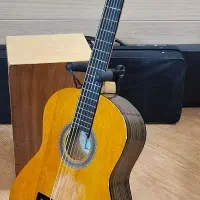 گیتار یونیک C60 حرفه ای