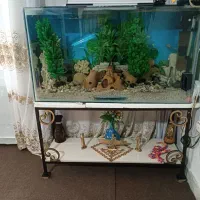 آکواریوم باهمه تجهیزات