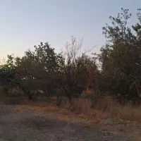 زمین ۵۱۰ متری باغ ویلا، شهرکی