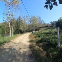 ۱۴۰۰متر چلک لاهیجان یاس ۱۱ قابل معاوضه با واحد|فروش زمین و ملک کلنگی|لاهیجان, شیشه گران|دیوار