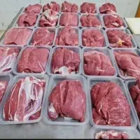 گوشت گوساله ممتاز گرم  ران  راسته و فیله و قلوگاه