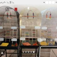 قفس بزرگ کوچک عروس هلندی قناری مینا فنج مرغ عشق|لوازم جانبی حیوانات|کرمانشاه, |دیوار