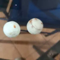 سنگ آسیاب|جواهرات|قدس, شهر‌قدس|دیوار