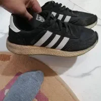 کفش در حدنو|کیف، کفش، کمربند|گرگان, |دیوار