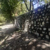 کاربنایی|خدمات پیشه و مهارت|خزل, |دیوار