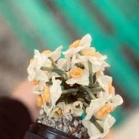 عکاسی و فیلمبرداری