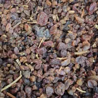 کشمش مرغوب|خوردنی و آشامیدنی|تاکستان, |دیوار