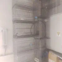 قفس غلامی جوجه پران ۱۵عدد|لوازم جانبی حیوانات|قرچک, میرزائی جنوبی|دیوار