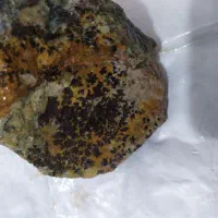 سنگ شجرطلایی|زیورآلات و اکسسوری|نیشابور, شهرک اندیشه|دیوار