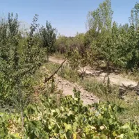 فروش زمین ۵۰۰ متری در مشکین دشت