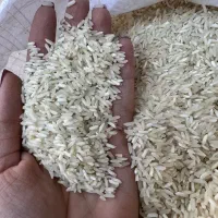 برنج ایرانی عنبربووچمپا بشرط فروش بصورت عمده وتکی