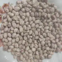 لوبیا چیتی درجه یک