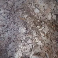 فروش نان خشک