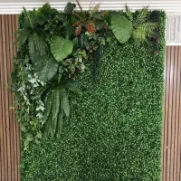 فروش انواع درخچه های مصنوعی، دیوار پوش سبز|گل مصنوعی|شهریار, شهریار|دیوار