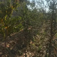 ۴۰۰ متری چهار دیواری مرزیجران با مجوز ساخت