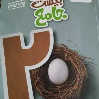 کتاب جامع ماجرای بیست سال نهم