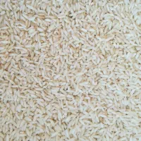 برنج  خوش پخت علی کاظمی