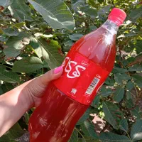 آبغوره خانگی خوش طعم و رنگ
