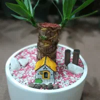 فروش گلهای آپارتمانی و باکس گل مصنوعی