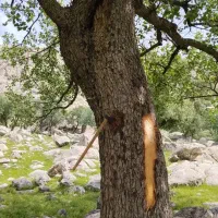 تبر و منتیل اتیقه