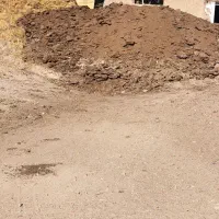 کود حیوانی(گوسفندی)