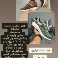 کفش مردونه