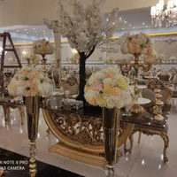 باغ.تالار/عروسی،عمارت،رویا
