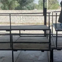 4عدد تخت