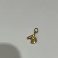 پلاک رخ اسب
