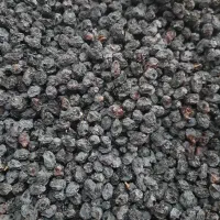 کشمش یاقوتی