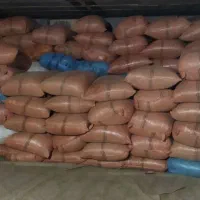 یونجه پاسفیک گُلد|خدمات باغبانی و درختکاری|بهبهان, |دیوار