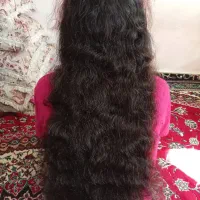 فروش مو|آرایشی، بهداشتی، درمانی|نورآباد, |دیوار