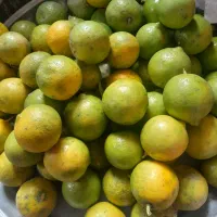 لیموشیرین ابدارونارنگی شیرین و