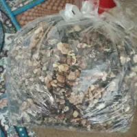 مغز گردو در هم
