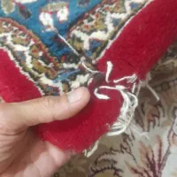 فرش ماشینی|فرش|قوچان, |دیوار