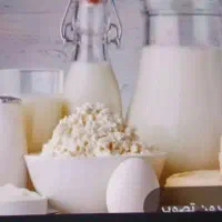 لبنیاتی