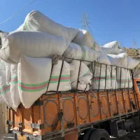 فروش الیاف هالو سوپر ویژه بدون ریزش