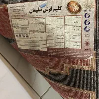 فرش و گلیم|فرش|مشهد, شاهد (شهرک غرب)|دیوار