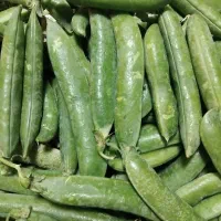 نخود فرنگی درشت پفکی