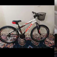 دوچرخه ویوا سناتور سایز ۲۶