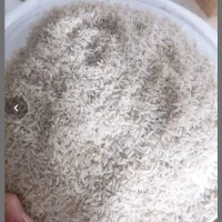 برنج طارم روشن