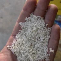 فروش ویژه  انواع *برنج* پاکستانی ارسال از خوزستان