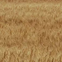 زمین کشاورزی