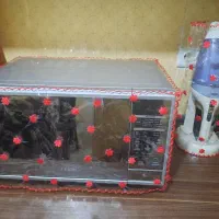 کـاوروسـایـل بـرقـی