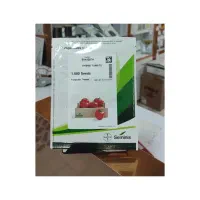 بهترین رقم گلخانه ای 4129 تاریخ جدید شرکتی
