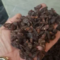 خوردنی و آشامیدنی|خوردنی و آشامیدنی|خمینیشهر, |دیوار