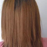 صندلی اجاره