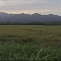 7000 متر زمین قطعه بندی شده