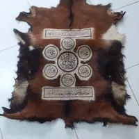 پوست بز