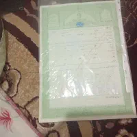 فروش خانه و زمین|فروش خانه و ویلا|باشت, |دیوار